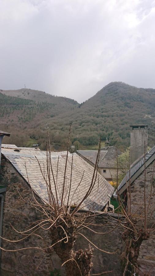 Appartement Dans Ancienne Maison Pyreneenne. Cadéac Eksteriør billede